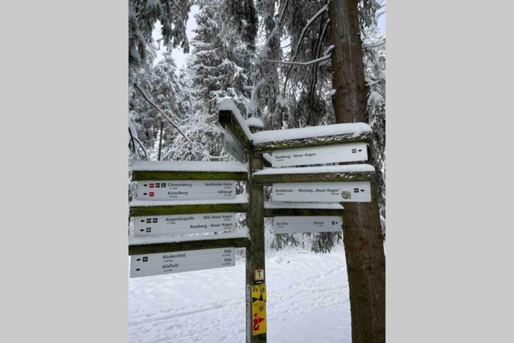 Zeit Fuer Dich Am Bergelchen, Winterberg Apartment Екстериор снимка